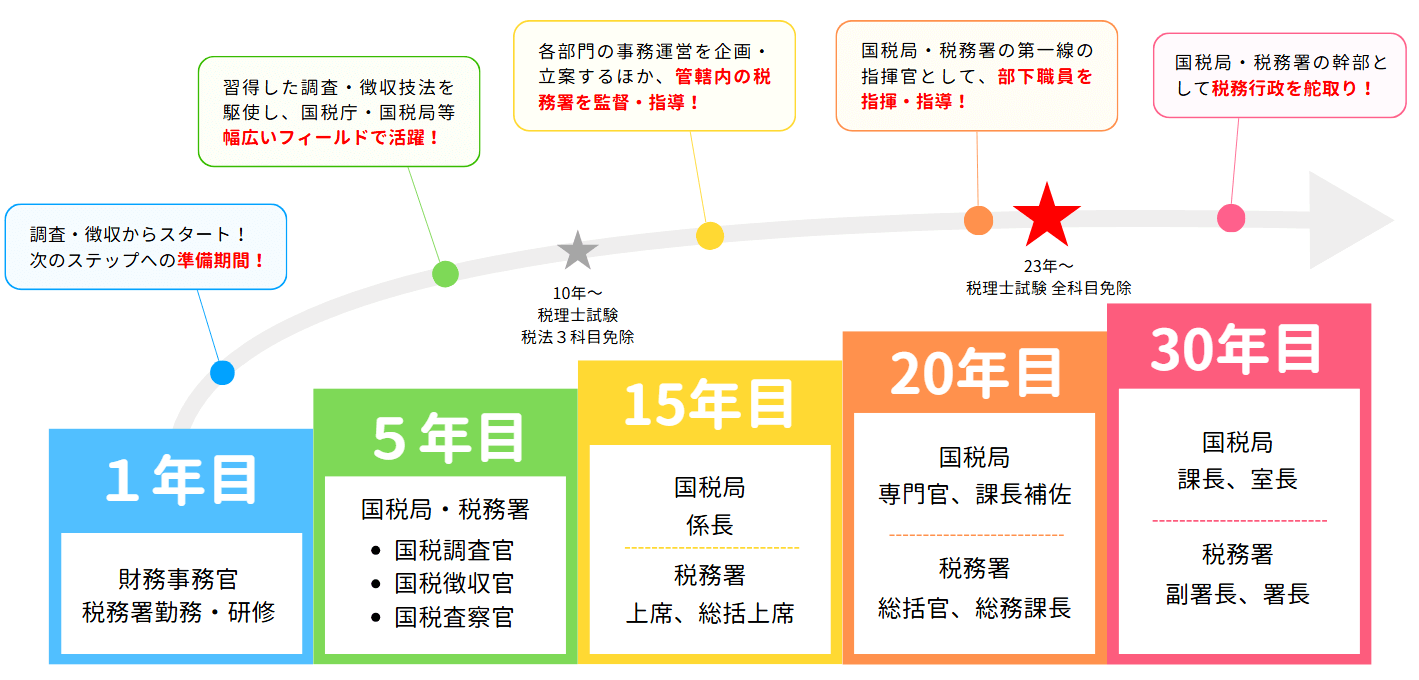 国税専門官のキャリアパス