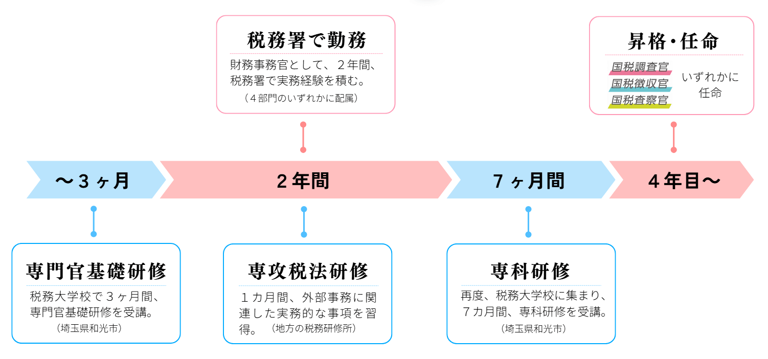 国税専門官の入庁後の流れ